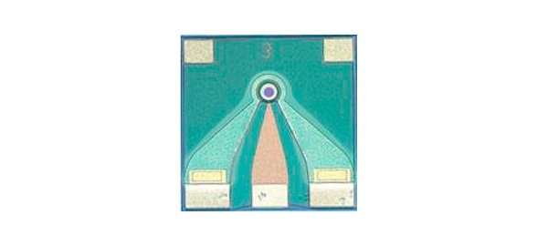 PIN Photodiode Chips